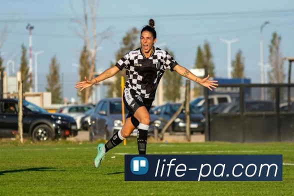 PA官网平台生态图